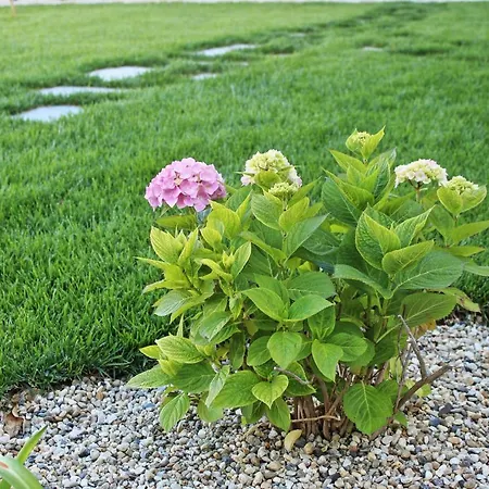 Vakantiehuis Casa Laura