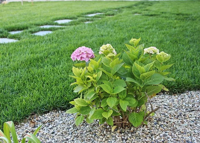 Сasa de vacaciones Casa Laura
